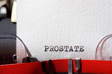 Prostate concept view
