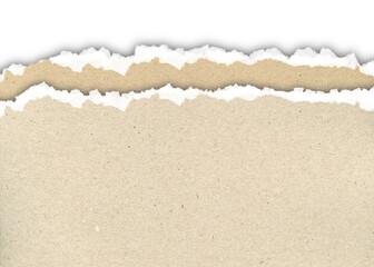 realistic torn paper border isolated on transparent background