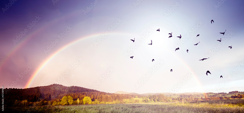 Canvas Prints rainbow after storm