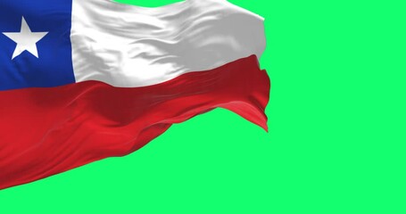 Chile national flag fluttering isolated on a green background