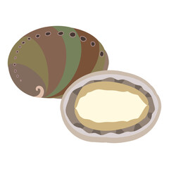 トコブシのフラットなベクターイラスト
Small abalone. Flat designed vector illustration.