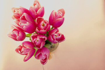 bouquet of tulips