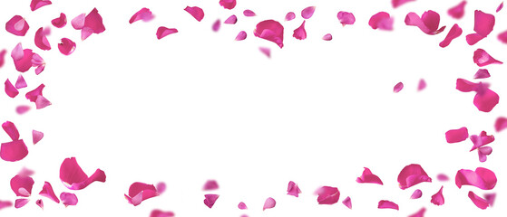 Floating pink petals on transparent background. Romantic concept design for weddings, love letters...