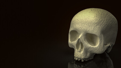 The human skull on black background  for education or sci concept 3d rendering