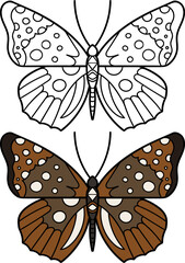 Obraz na płótnie Canvas Hand drawn butterflies. Set of two butterflies,linear and colored.Vector illustration doodle style. Coloring. 