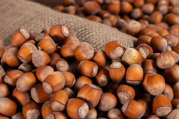 Hazelnuts, filbert in burlap sack on wooden backdrop. heap or stack of hazelnuts. Hazelnut background, healty food