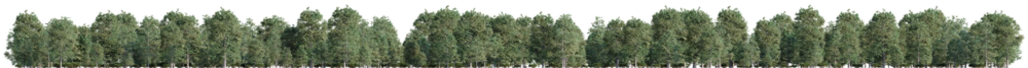 Fototapeten 3D rendering of the tree line,  landscape tree on transparent background © ANDRIBENKY