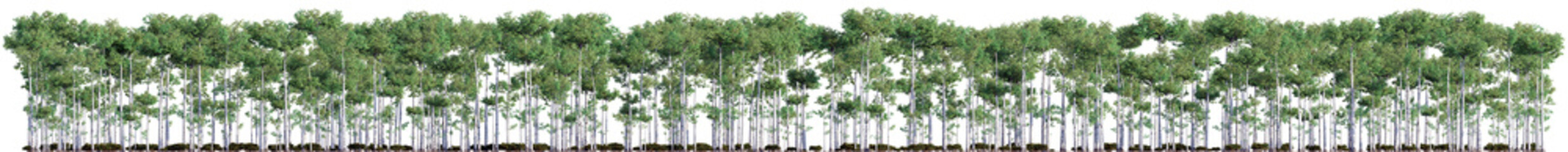 3D rendering of the tree line,  landscape tree on transparent background