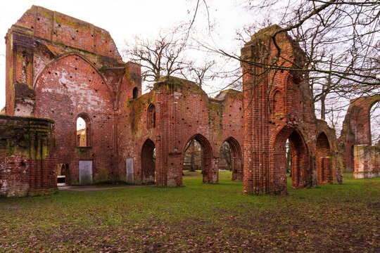 Klosterruine Eldena in Greifswald 2