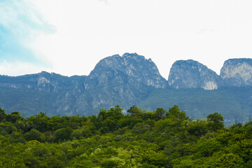 Beautiful view of green trees and mountains