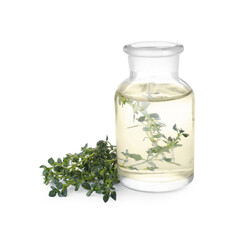 Bottle of thyme essential oil and fresh plant isolated on white