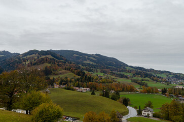 landscape in autumn