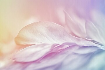 Soft colorful flower petals. close up with gradient. Generative AI