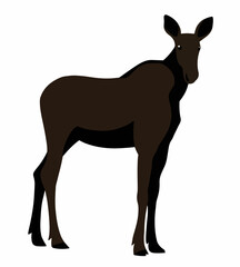 moose cartoon vector illustration isolated on white