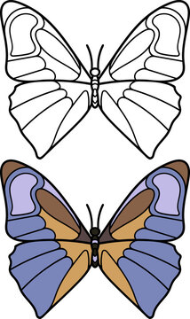 Hand drawn butterflies. Set of two butterflies,linear and colored.Vector illustration doodle style. Coloring.
