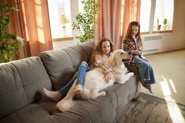 Little school age girl playing with beloved pet, golden retriver at home interior, inddors. Children look happy and cheerful. Concept of friendship, family, care, animal