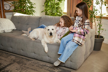 Two little cute happy girls, sisters sitting at home and playing with Golden retriever dog. Children look delighted and cheerful. Concept of friendship, family, care, animal