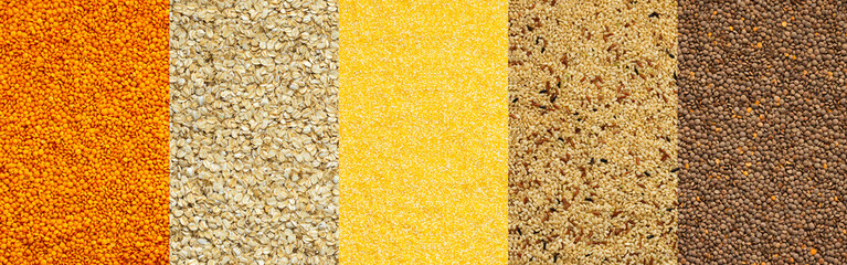 Various grain cereals banner, top view, orange lentils and oats, brown rice and buckwheat, corn grits