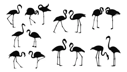 Papier Peint photo Flamingo Flamingo silhouette set Isolated vector Elegant flamingo family
