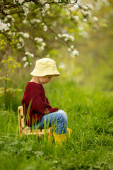 Cute child, boy, with umbrella and little chicks, sitting on a small bench in the park while raining
