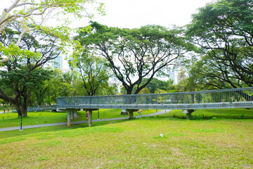 Cityscape view of Benjakitti Park with trees and skywalk, New beautiful garden in the city center.