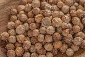 close up of seeds