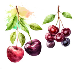 Fototapeta na wymiar Watercolor painting cherry on white background. Generative ai illustration