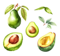Watercolor avocado illustration on white background, generative ai
