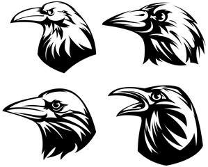Obraz premium Head of raven. Crow abstract character illustration. Graphic logo designs template for emblem. Image of portrait for company use or tattoo set.