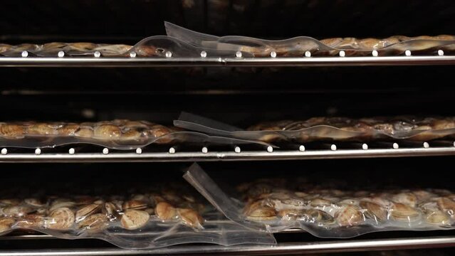 Motion down along metal rack with vacuum packages of delicious fresh fasolari molluscs at seafood processing plant closeup