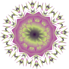 Beautiful round pattern. Vector file for designs.