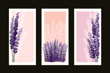A set of postcards. Wedding invitation. Sprigs of lavender