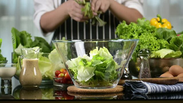 woman chef mix fresh baby cos salad and pour salad dressing in glass blow. Organic Vegetables mix all green salad In glass bowl. Breakfast fresh salad and clean vegetable.