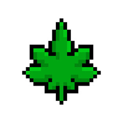 Set icon Green leaves illustrator vector. Leaves 8bit