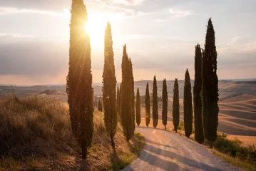 Fotobehang Toscane Road with cypresses on sunset in Tuscany, Italy  © Maresol