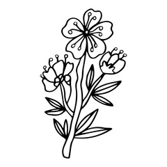 Sketch of spring flowers of quince, almond, apple tree branches with buds and flowers. Hand draw botanical doodle vector illustration in black contrast with white fill.