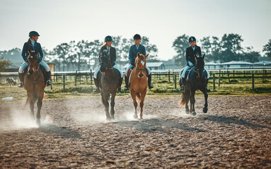 Equestrian, group and women on a horse for sports, training and show on farm in Switzerland....
