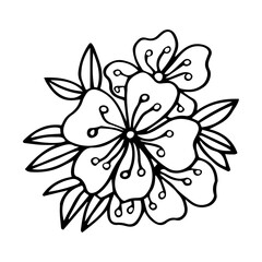 Sakura flowers blossom set, hand drawn line ink style. Cure doodle cherry plant vector illustration, black isolated on white background. Realistic floral bloom for spring japanese or chinese holiday.