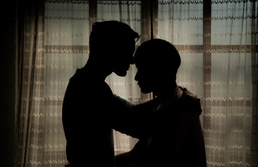 The shadow reflection of an LGBT couple in their private bedroom with a loving vibe between them.