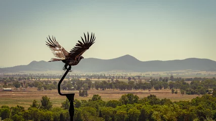 Tuinposter Bird sculpture flying over the landscape lookout in Gunnedah, New South Wales, Australia © Alexander