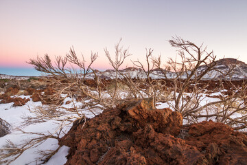 Snowy Teide National Park, with dry brooms, and a large red volcanic rock, at sunset. Volcanic rocks and mountain range in the background. Clear sky in the landscape Tenerife, Canary Islands, Spain.