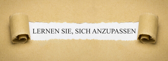Lernen Sie sich anzupassen