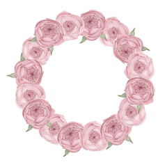 watercolor wreath of peony roses, PNG botanical illustration isolated on transparent background, best for weddin, birsday, womens day design