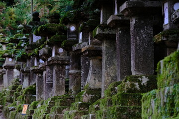 世界文化遺產、奈良、春日大社，神社、参道の石燈籠、日本古来の建築物、伝統的な建築物、木造