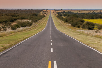 Highway in the desert in La Pampa province, Patagonia, Argentina. 