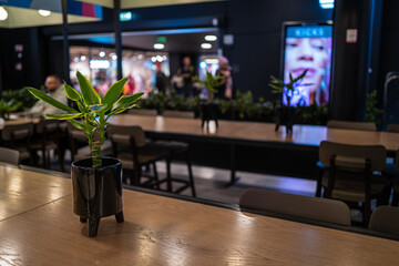 Interior of an indoor restaurant with green flowers on a wooden table