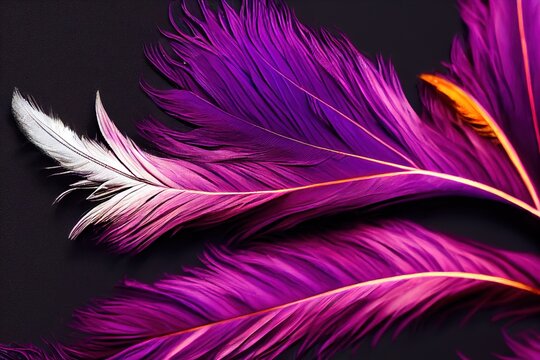 abstract background, purple feathers on a dark background