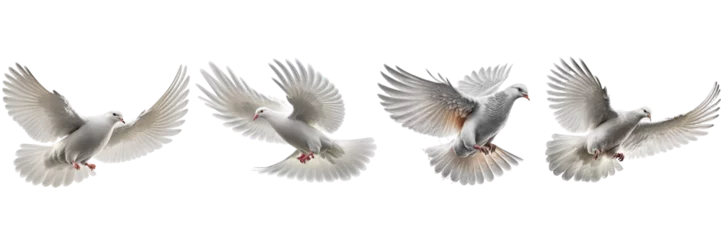 Deurstickers white doves collection on Transparent background , ai generated © dasom