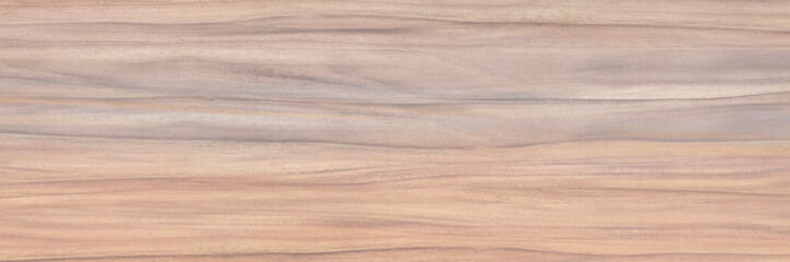 texture of wood background. old brown rustic light bright wooden maple texture - wood background panorama banner long