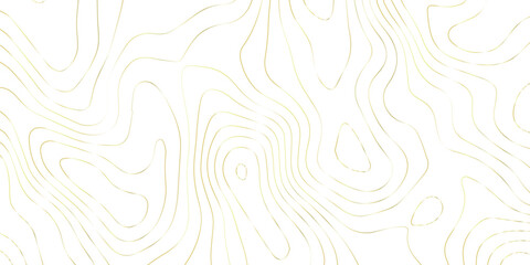 Abstract Topographic map background with wave line. gradient multicolor wave curve lines banner background design. Vector illustration. Line topography map contour background.